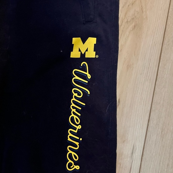 Champion Michigan Wolverines jogger sweat pants - Picture 2 of 6